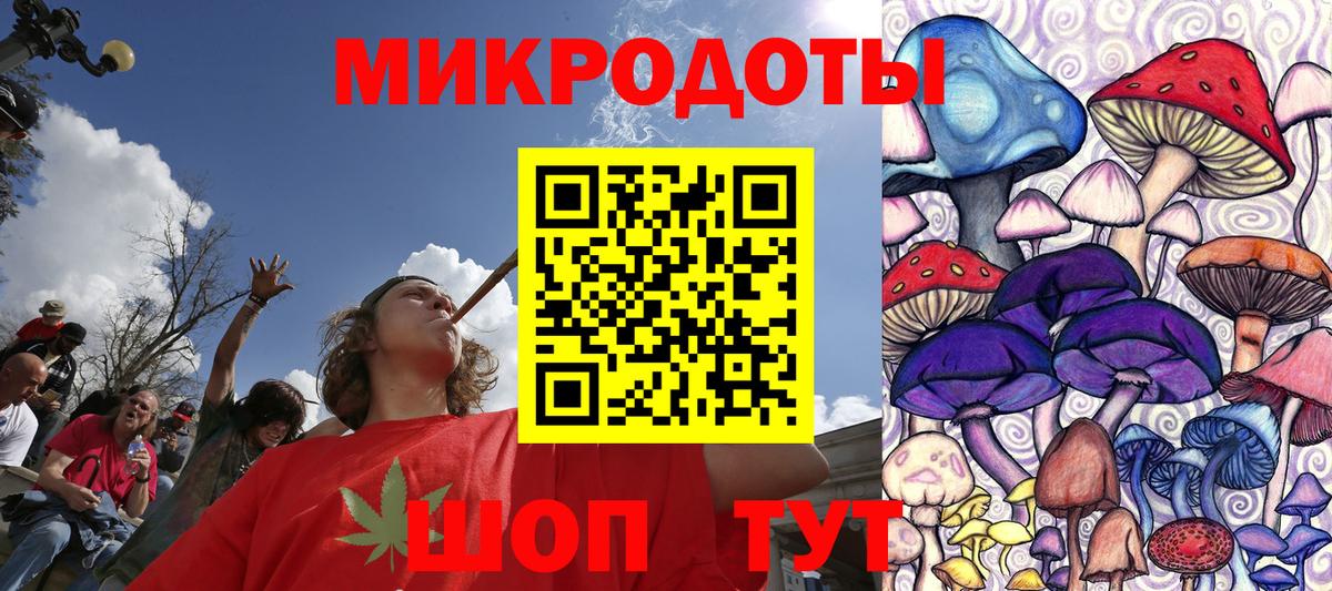 Псилоцибиновые грибы мухоморы Звенигород